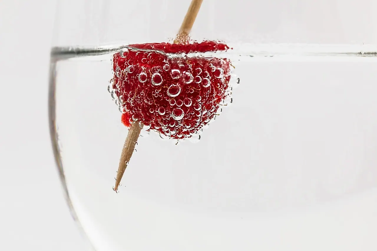 cocktail, drink, glass, alcohol, beverage, bar, liquor, ice, cold, vodka, refreshment, cool, summer, refreshing, berry, soda water, nature, bubble, raspberry
