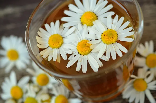 chamomile, tea, drink, chamomile tea, chamomile blossoms, herbal medicine, medicinal herbs, medicinal plant, healthy, macro, close up, blossom, bloom, naturopathy, chamomile, chamomile, chamomile, chamomile, chamomile, tea, tea, tea, tea, chamomile tea. What a botanical drink label can hide: flavors, blends, sugar