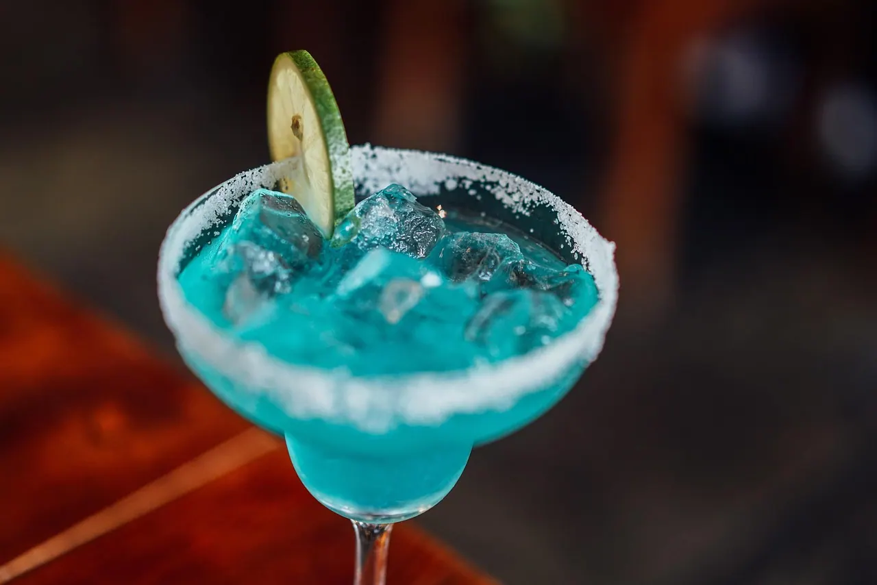 margarita, cocktail, cold, drink, bar, beverage, glass, ice, liquor, refreshment, margarita, margarita, margarita, margarita, margarita, bar, bar, bar