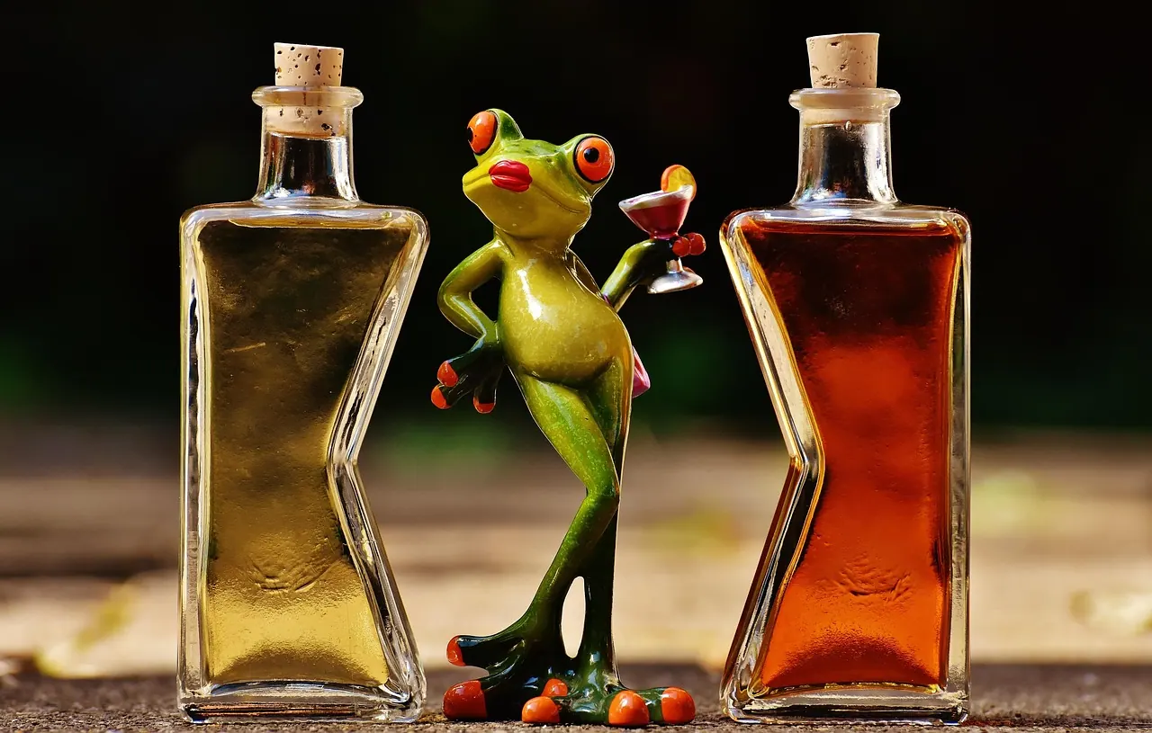 frogs, chick, beverages, bottles, alcohol, characters, drink, enjoyment, cute, frog, figure, fun, funny, cocktail, wine, comfort, frogs, frog, frog, frog, frog, funny, funny, funny