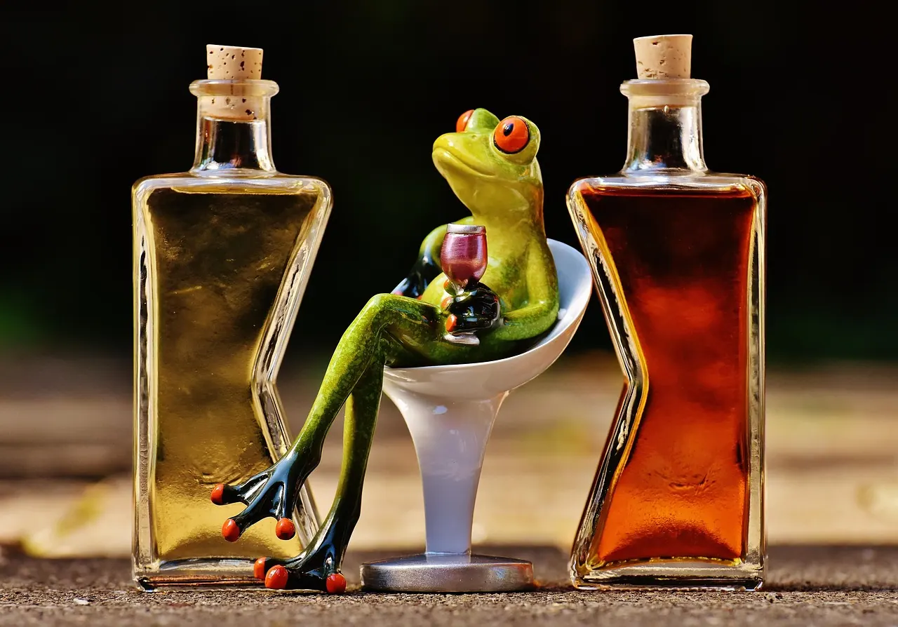 frogs, chick, beverages, bottles, alcohol, characters, drink, enjoyment, cute, frog, figure, fun, funny, cocktail, wine, comfort, alcohol, frog, funny, funny, funny, funny, funny,. Buying mistakes to avoid with alcohol free drinks